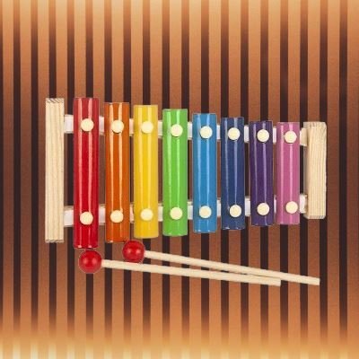 Jouet en Bois - WoodenToys™ - Xylophone - Coco explorateur